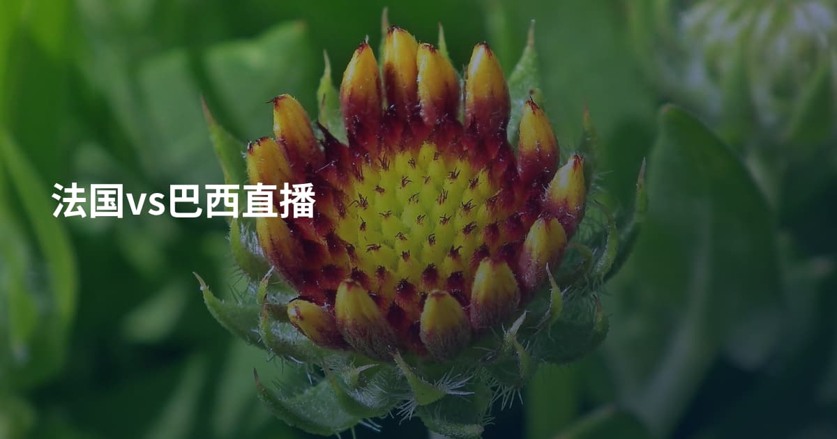 法国vs巴西直播