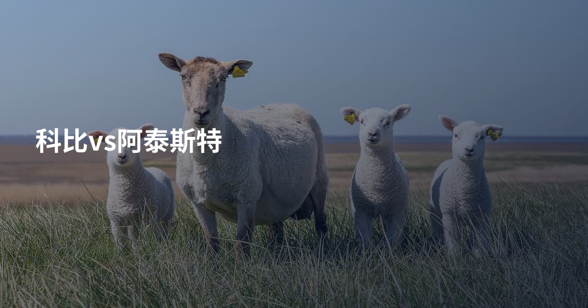 科比vs阿泰斯特