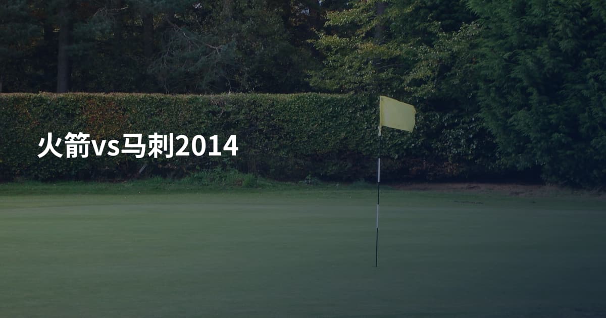 火箭vs马刺2014