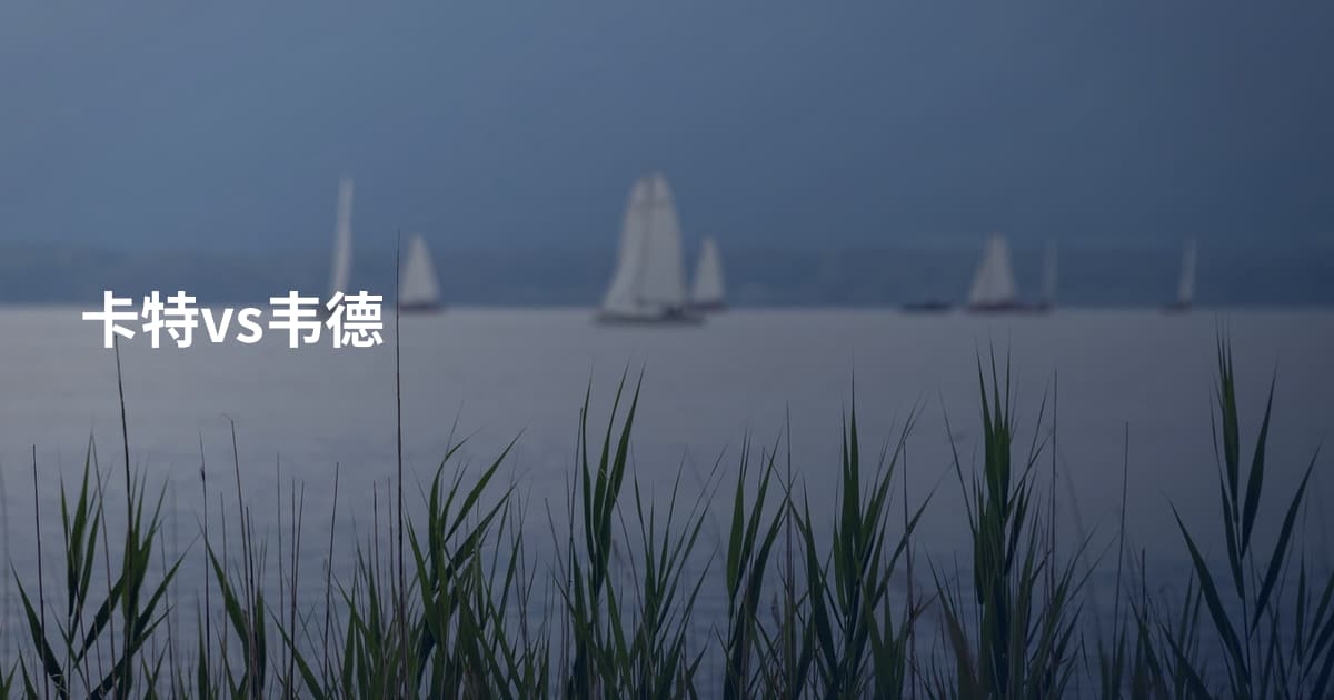 卡特vs韦德