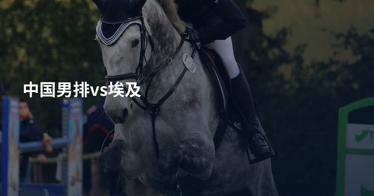 中国男排vs埃及