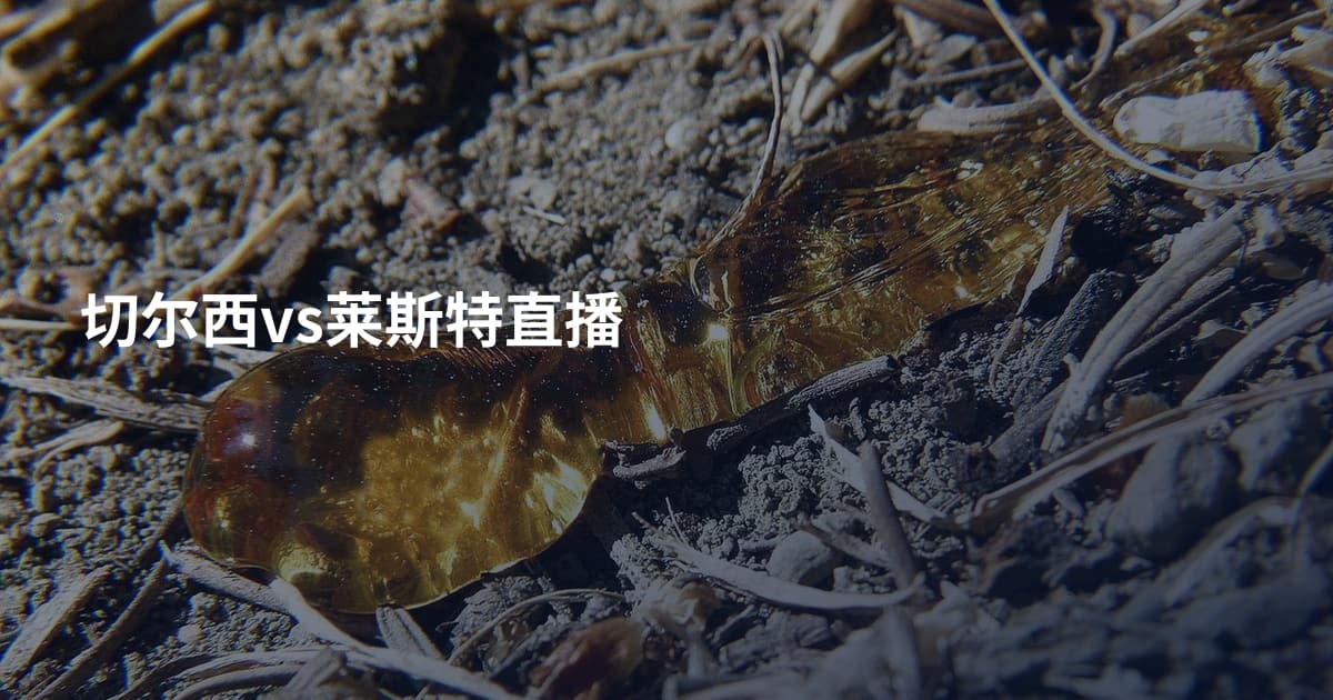 切尔西vs莱斯特直播