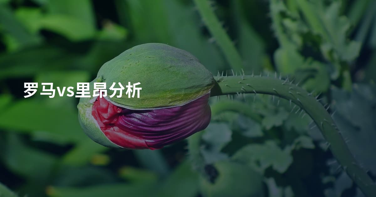 罗马vs里昂分析