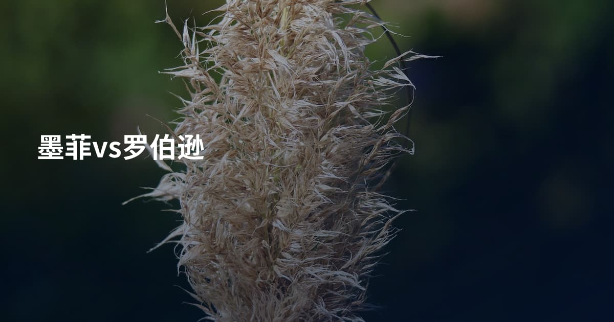 墨菲vs罗伯逊