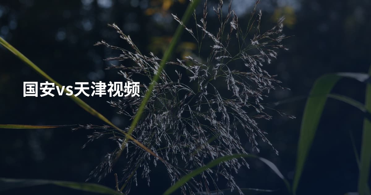 国安vs天津视频