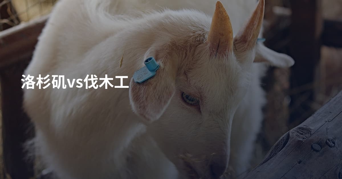 洛杉矶vs伐木工