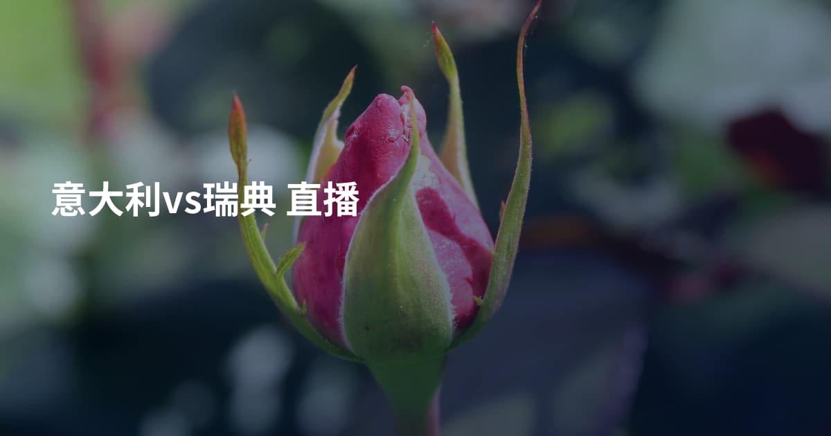 意大利vs瑞典 直播