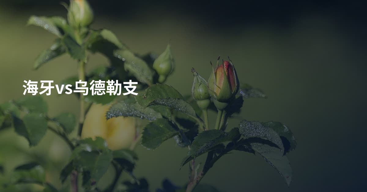 海牙vs乌德勒支
