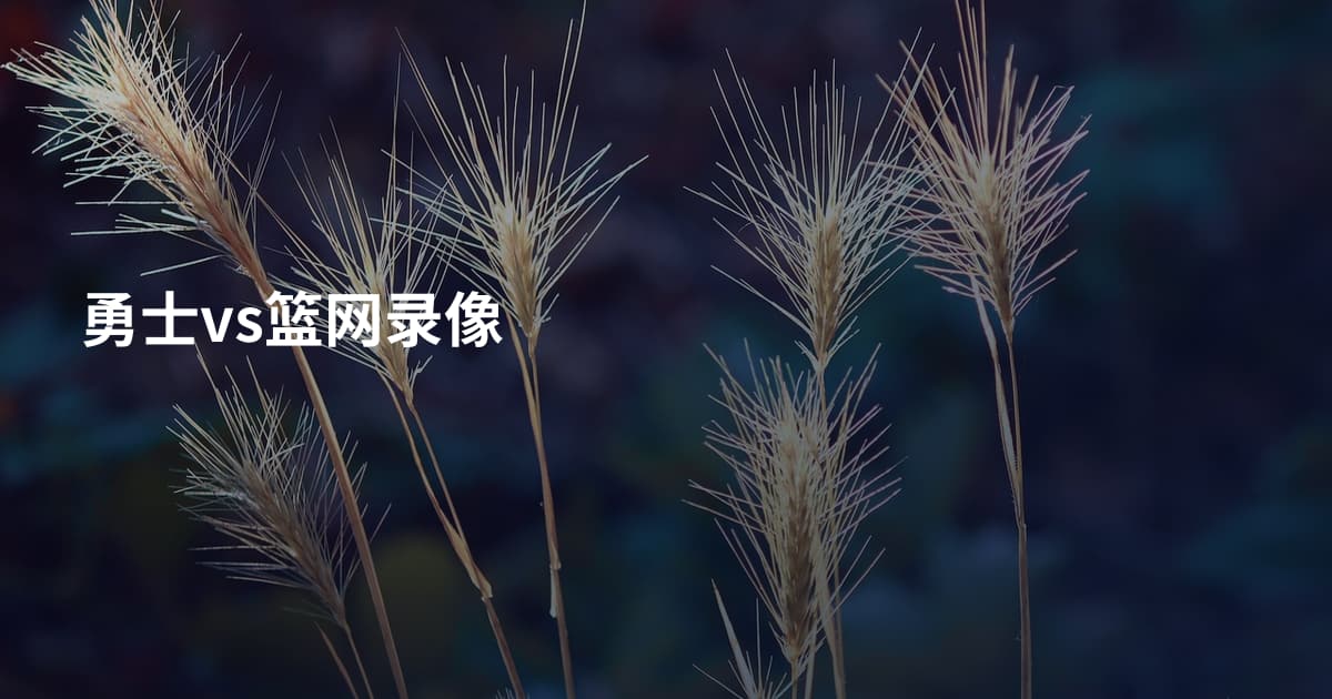 勇士vs篮网录像