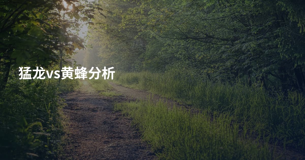 猛龙vs黄蜂分析
