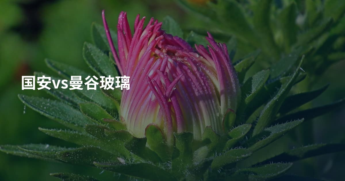 国安vs曼谷玻璃