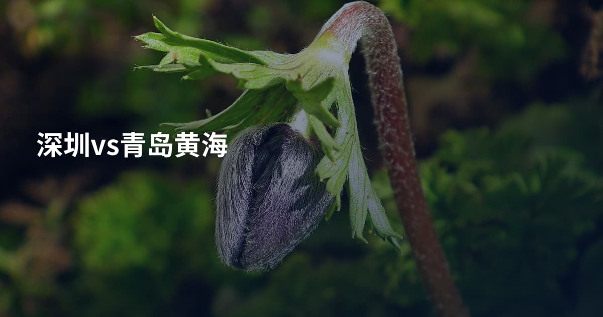 深圳vs青岛黄海