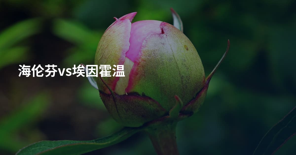 海伦芬vs埃因霍温