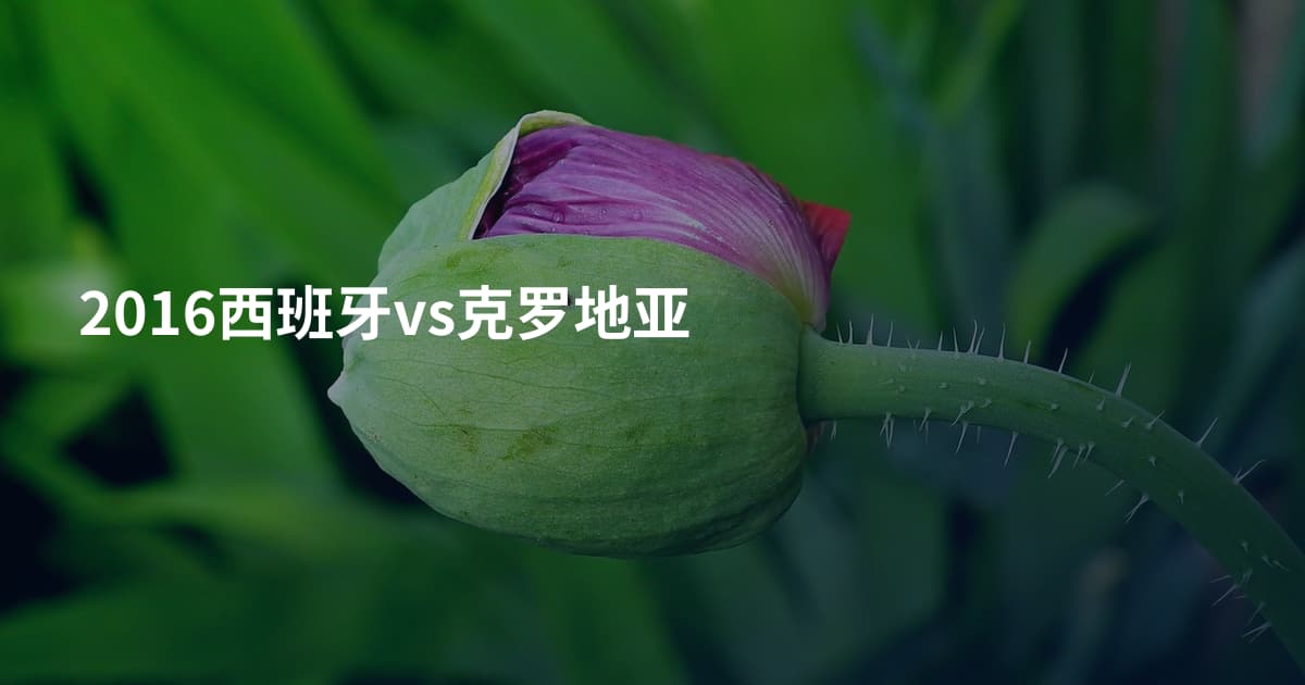 2016西班牙vs克罗地亚