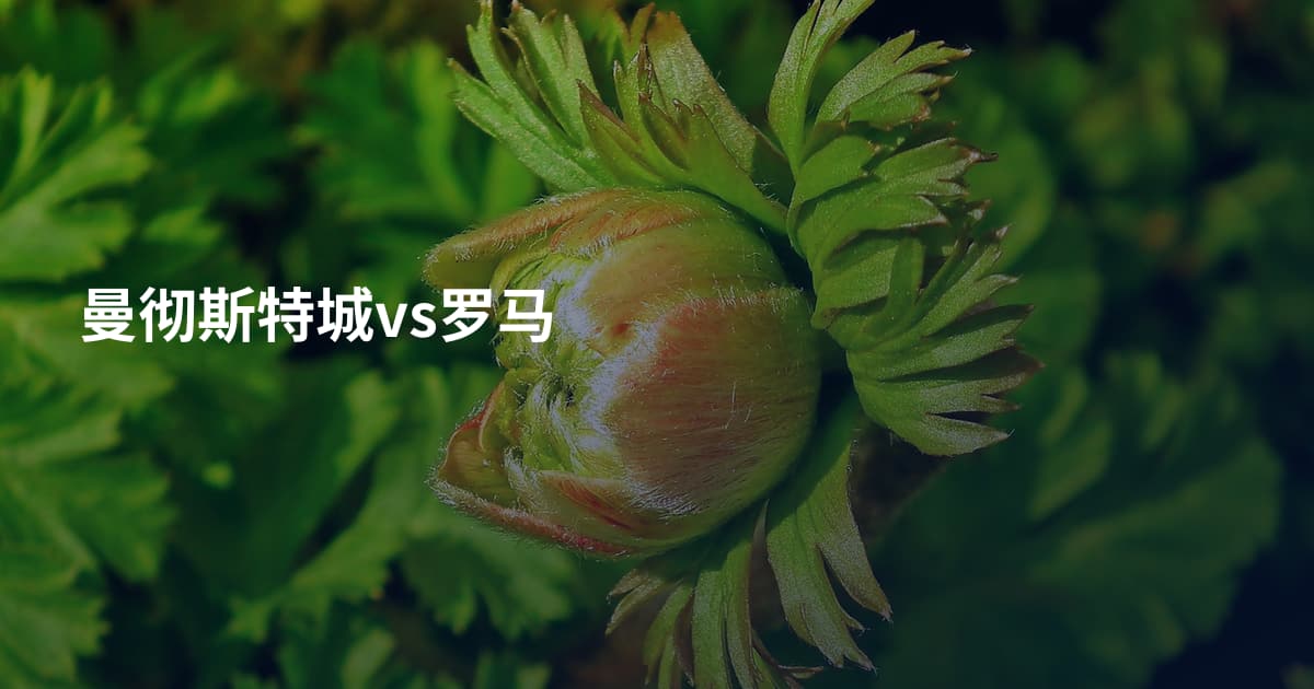 曼彻斯特城vs罗马