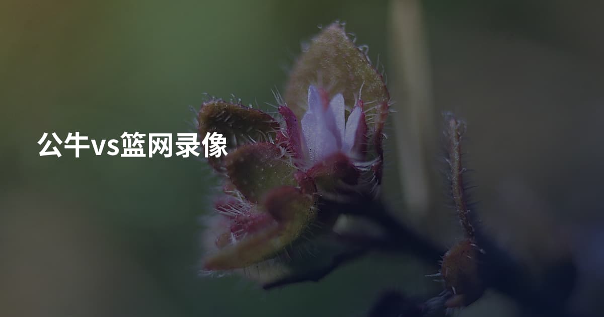 公牛vs篮网录像
