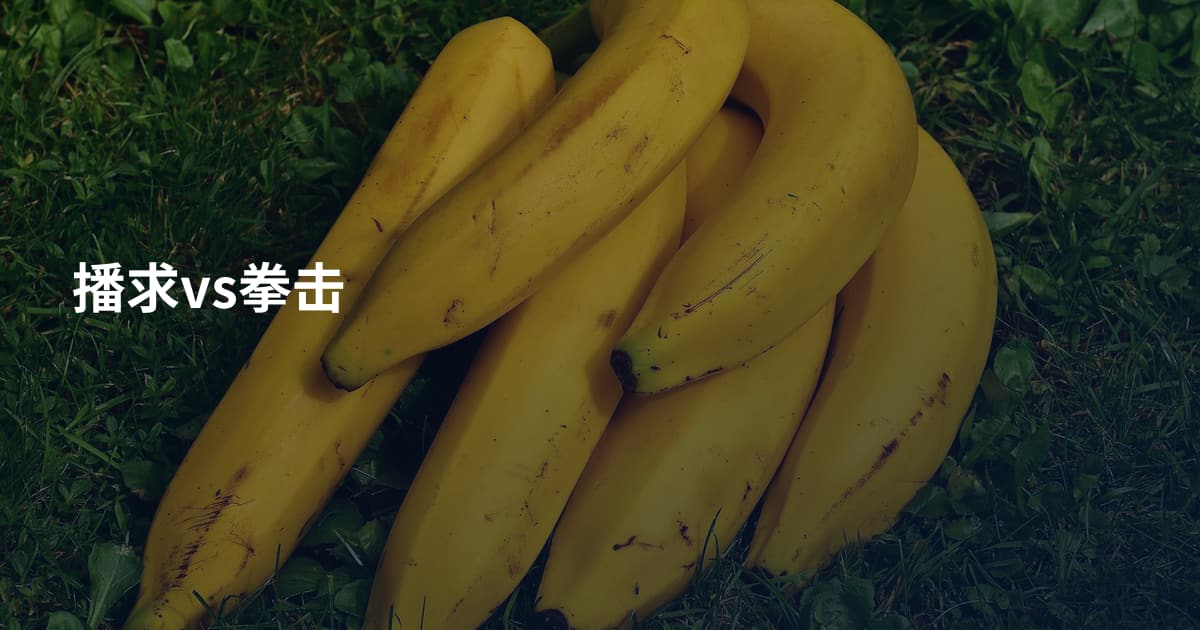 播求vs拳击