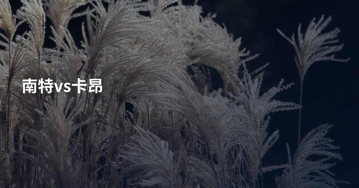 南特vs卡昂