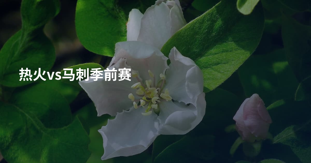 热火vs马刺季前赛