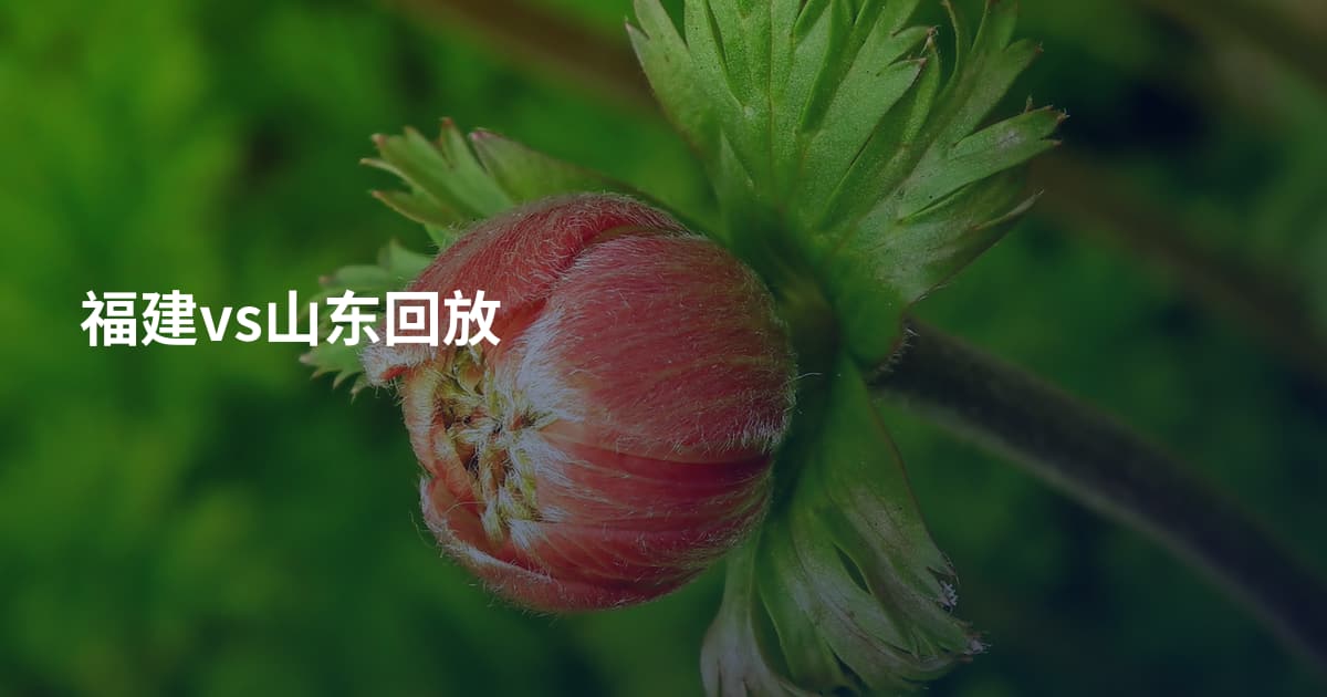 福建vs山东回放