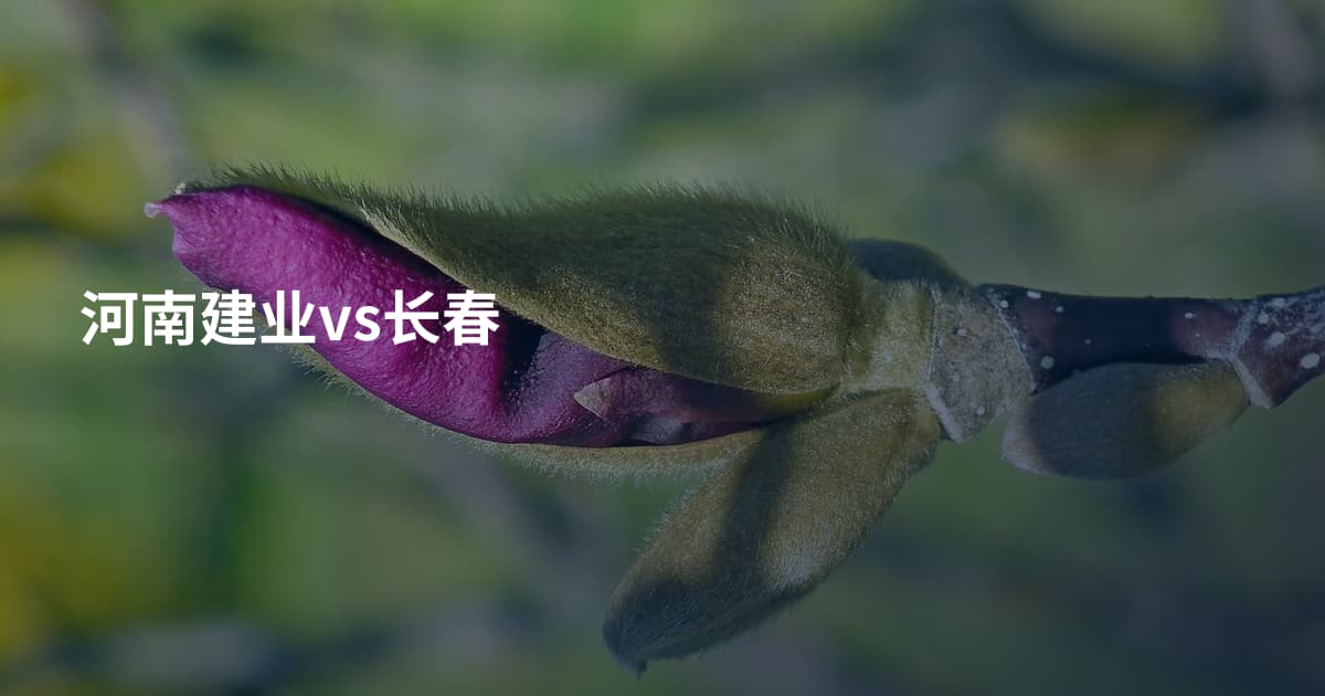 河南建业vs长春