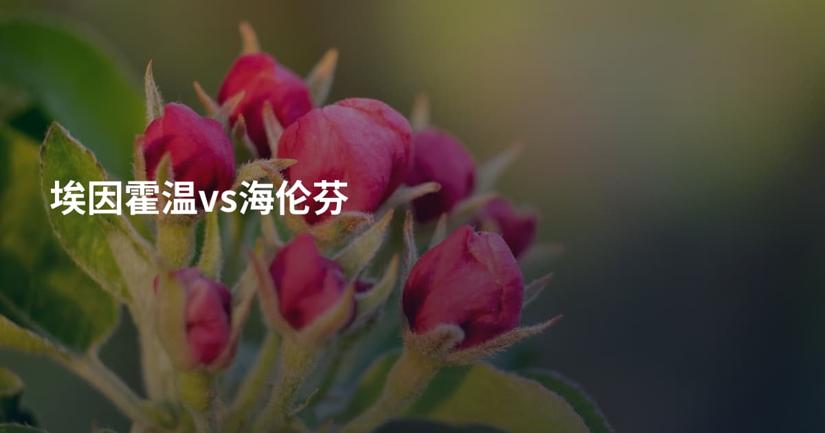 埃因霍温vs海伦芬