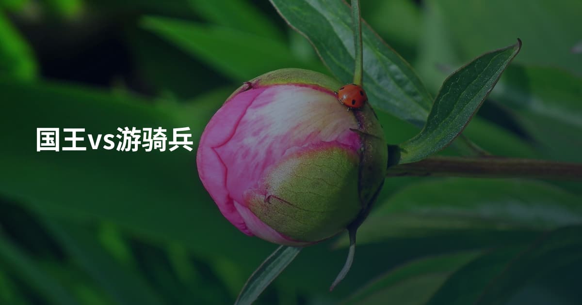 国王vs游骑兵