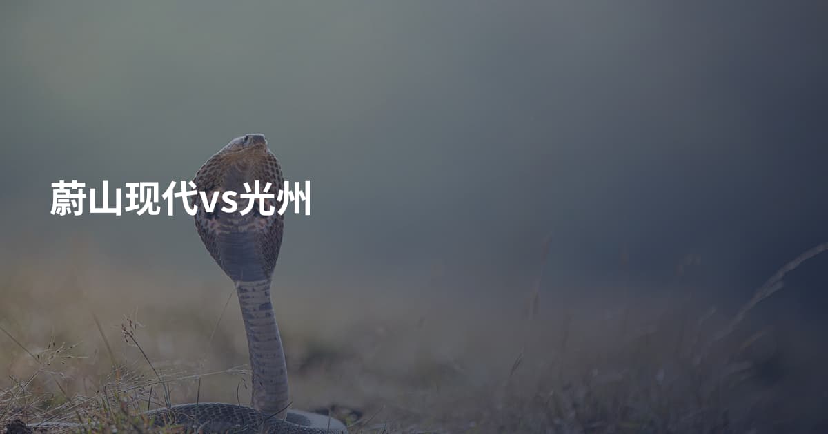 蔚山现代vs光州