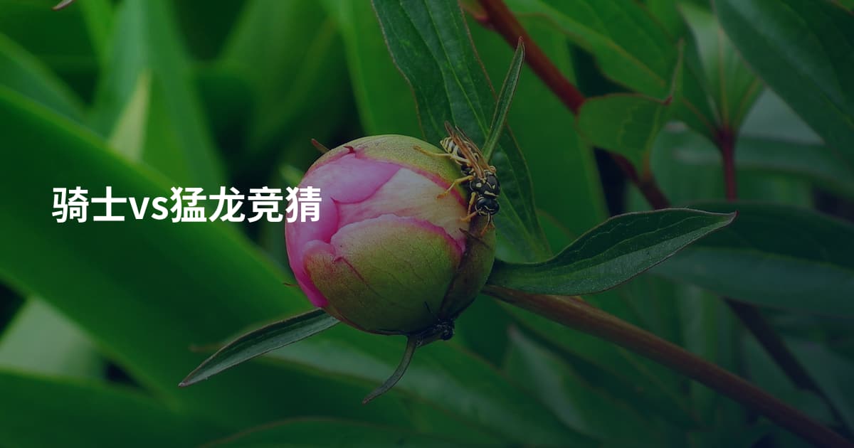 骑士vs猛龙竞猜