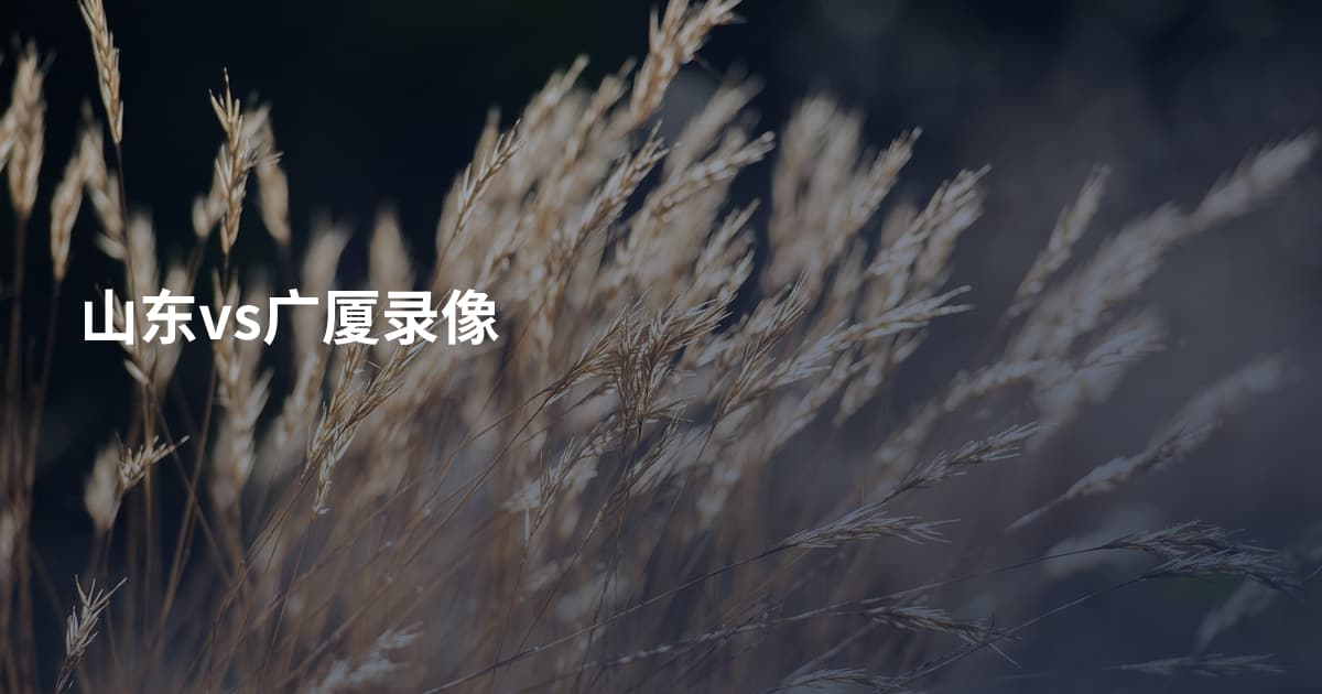 山东vs广厦录像