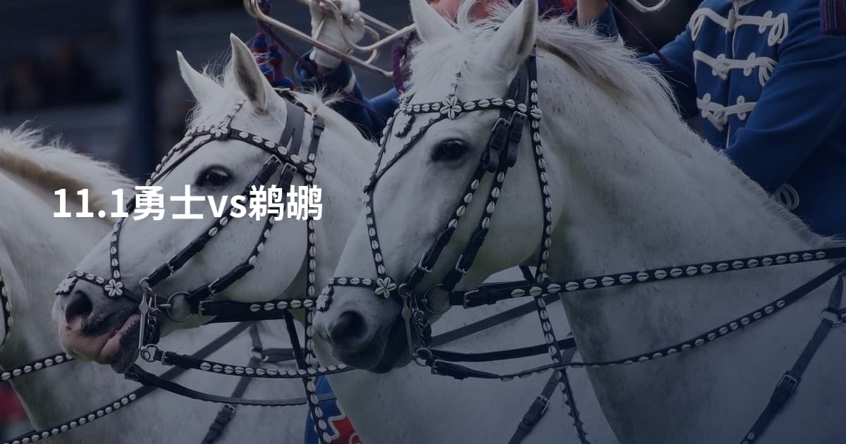 11.1勇士vs鹈鹕