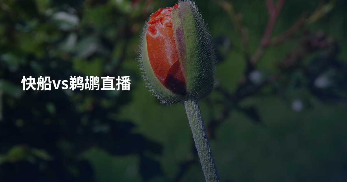 快船vs鹈鹕直播