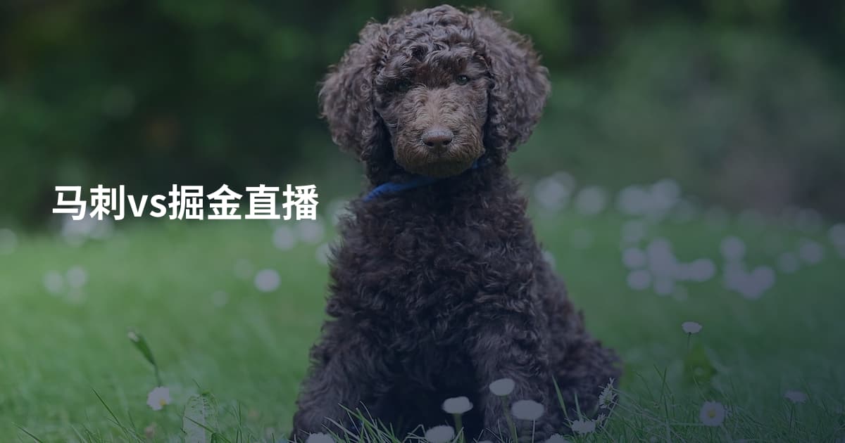 马刺vs掘金直播