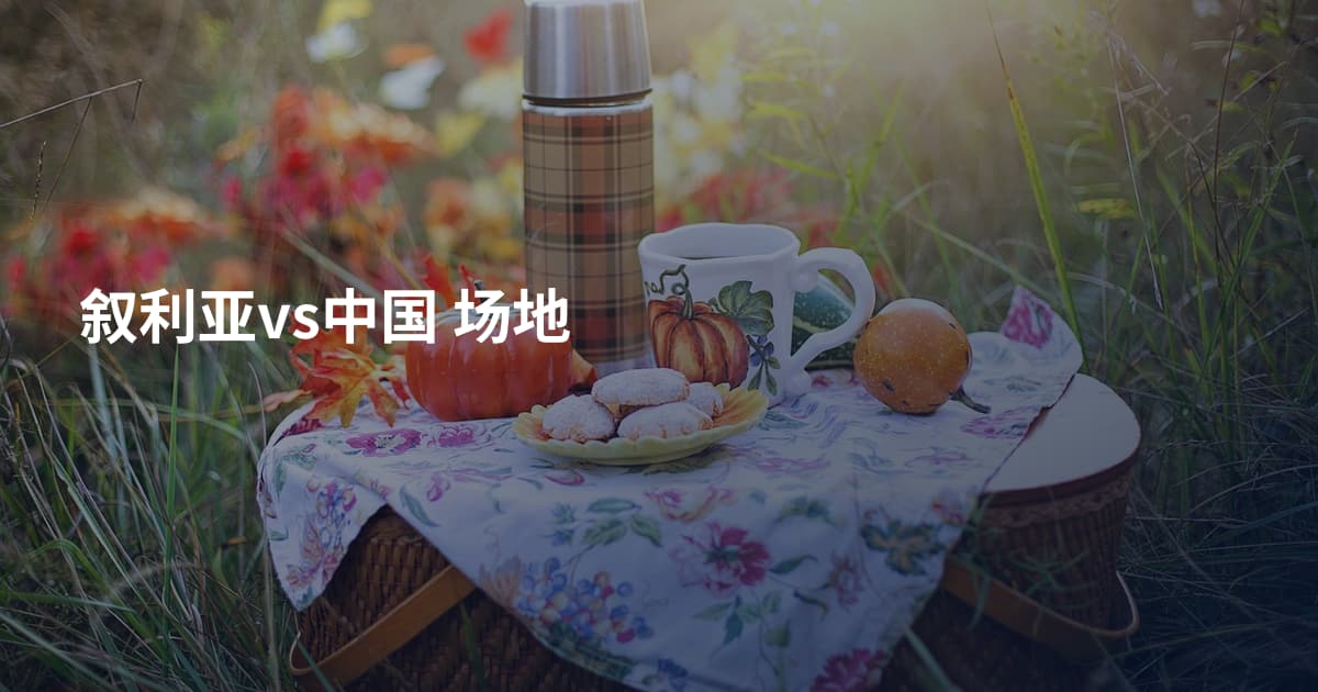 叙利亚vs中国 场地