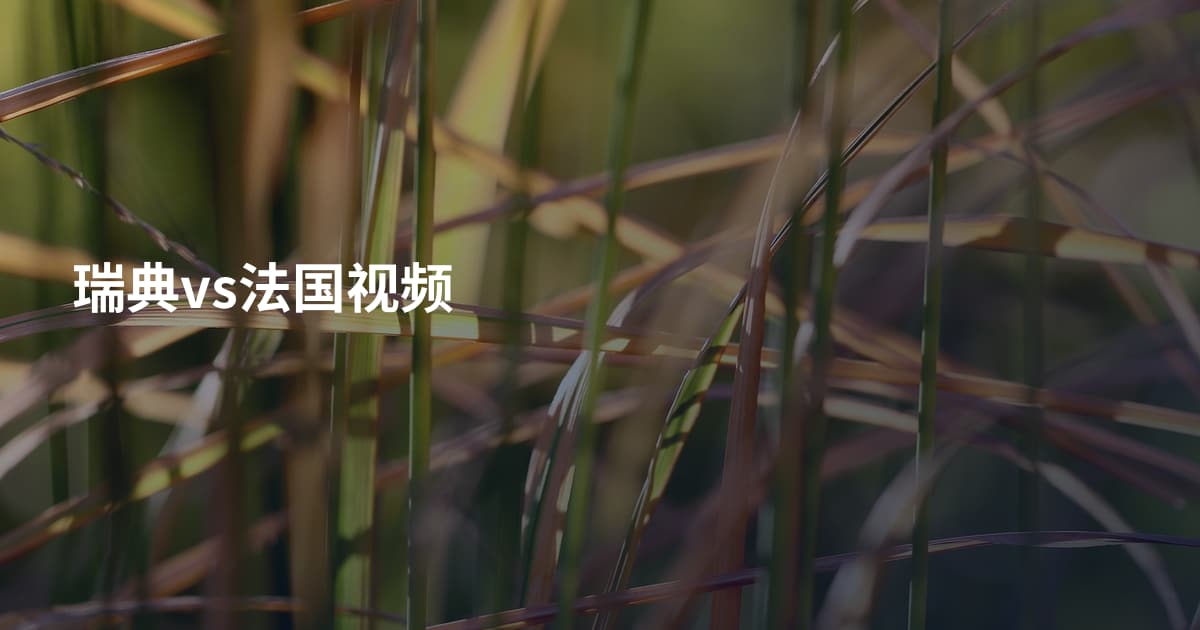 瑞典vs法国视频