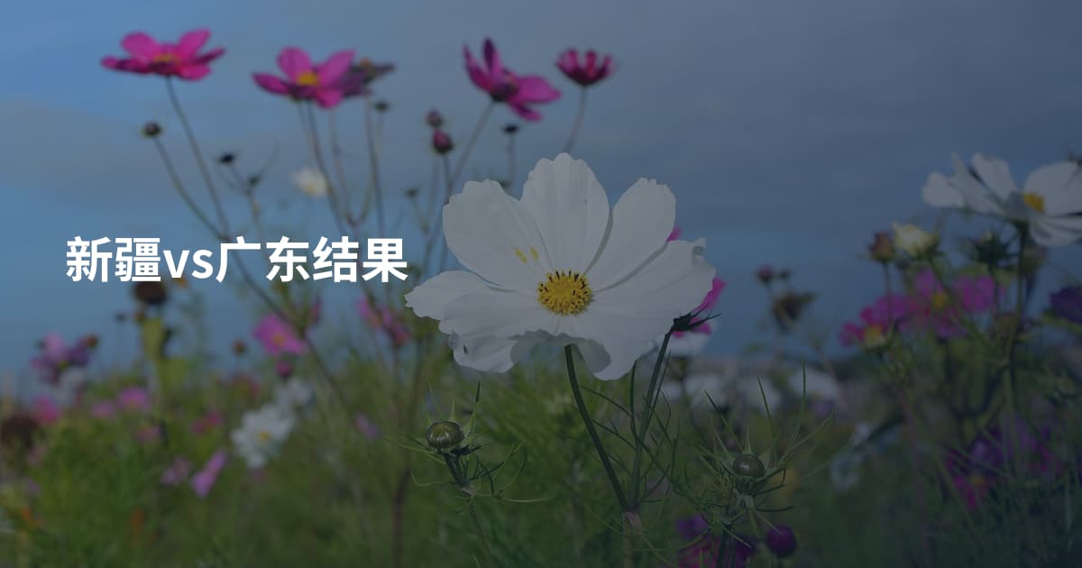 新疆vs广东结果