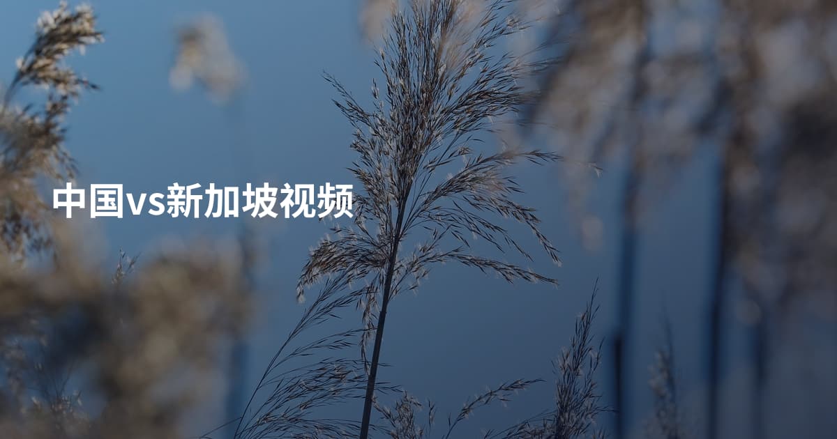 中国vs新加坡视频