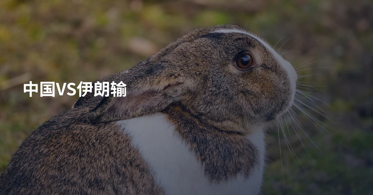 中国VS伊朗输