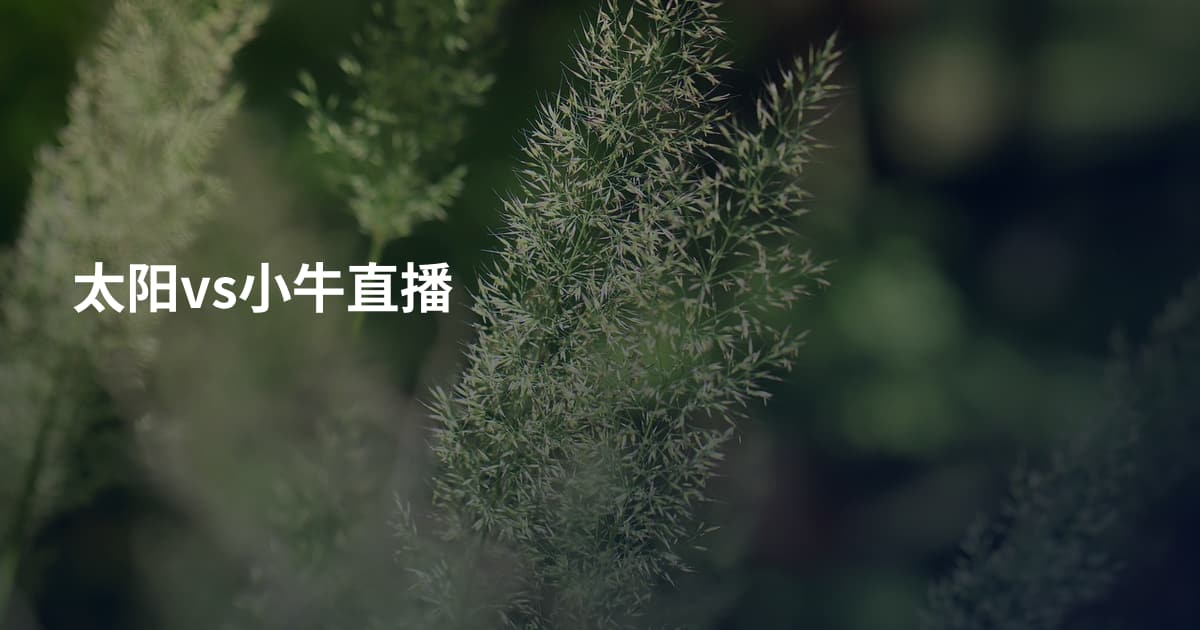 太阳vs小牛直播