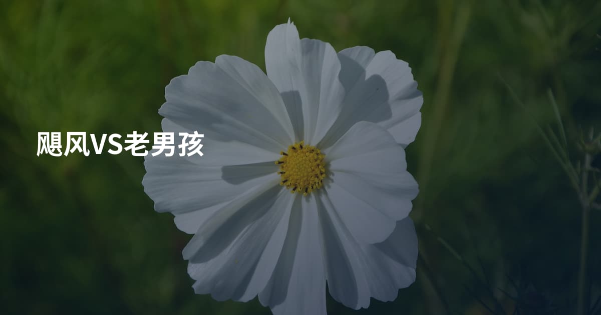 飓风VS老男孩