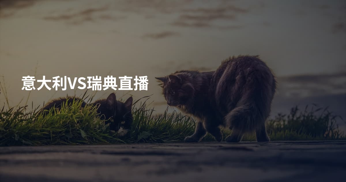 意大利VS瑞典直播