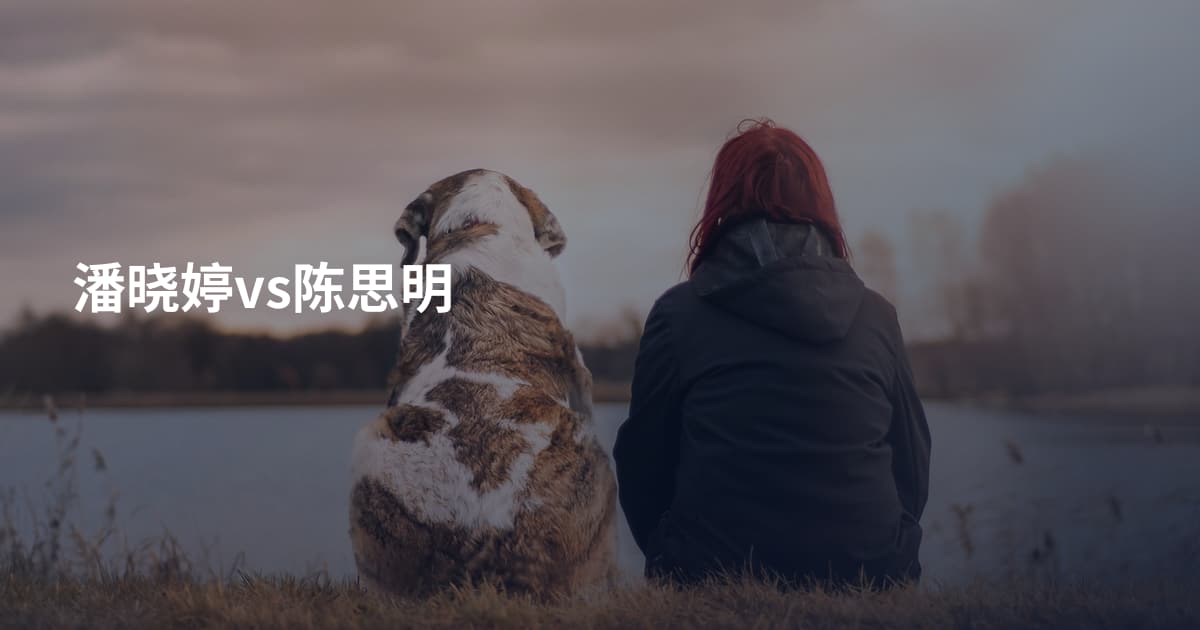 潘晓婷vs陈思明