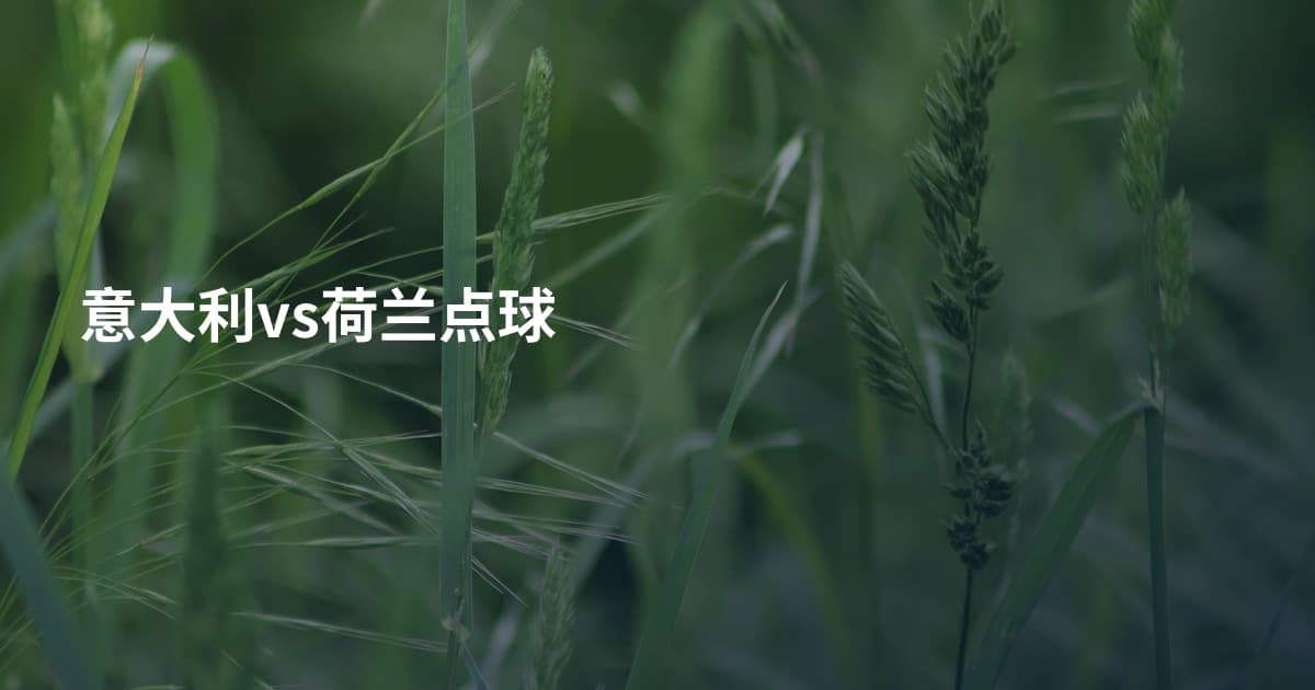 意大利vs荷兰点球