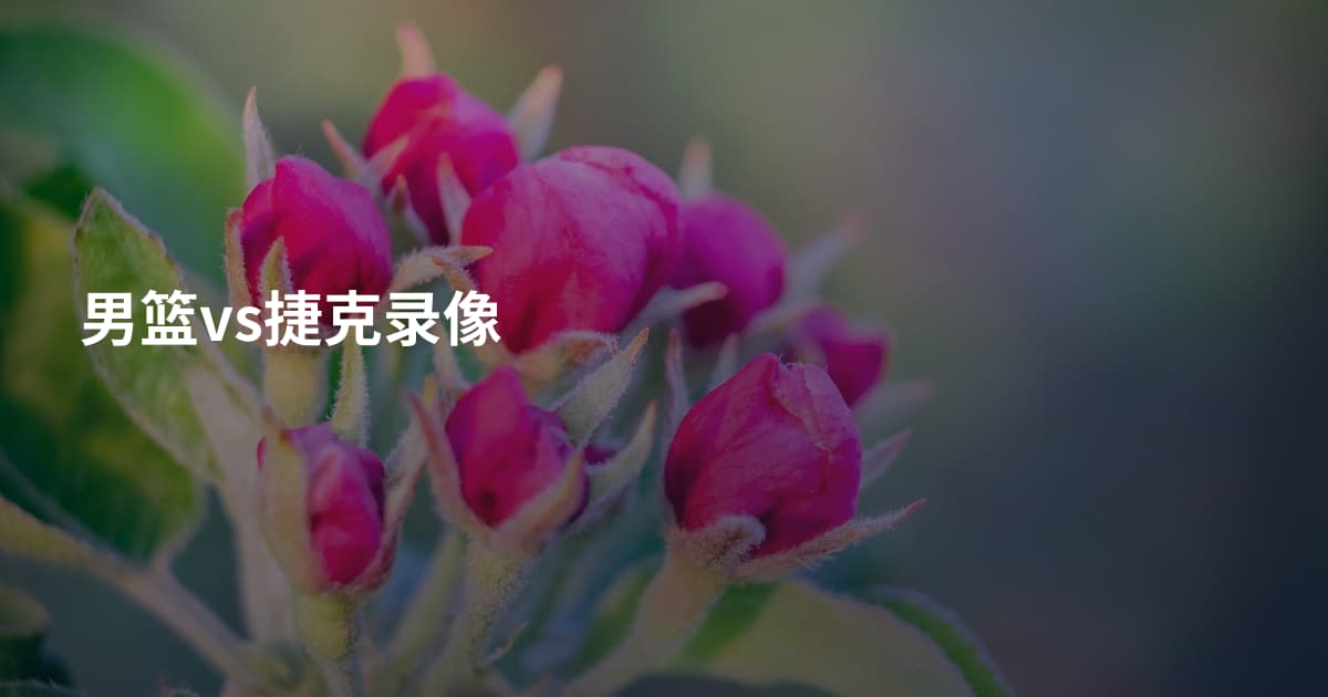 男篮vs捷克录像