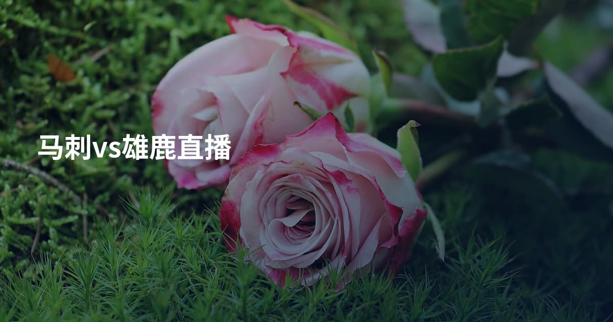 马刺vs雄鹿直播