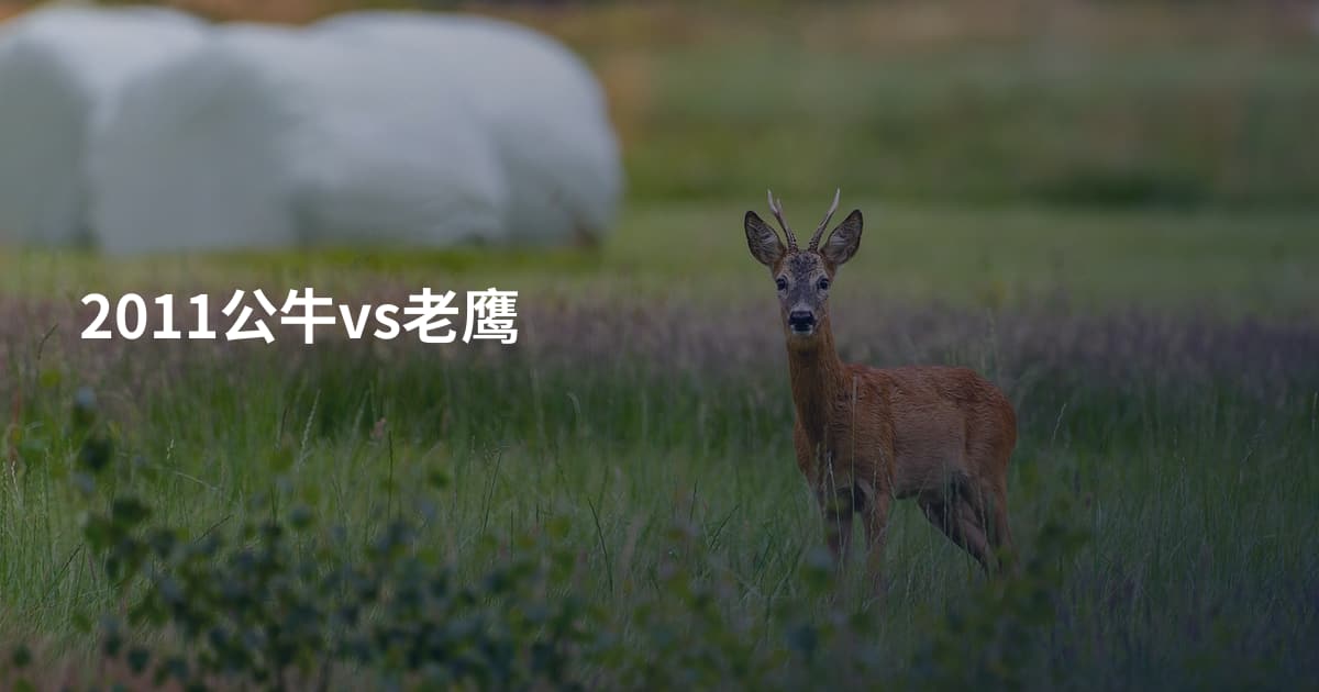 2011公牛vs老鹰