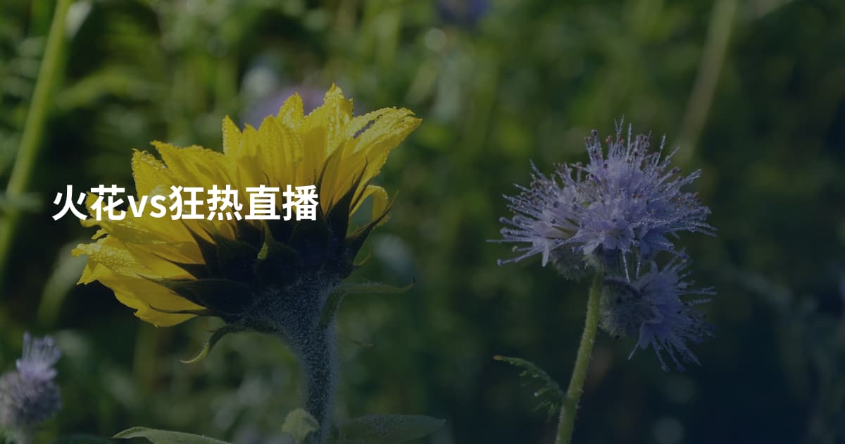 火花vs狂热直播