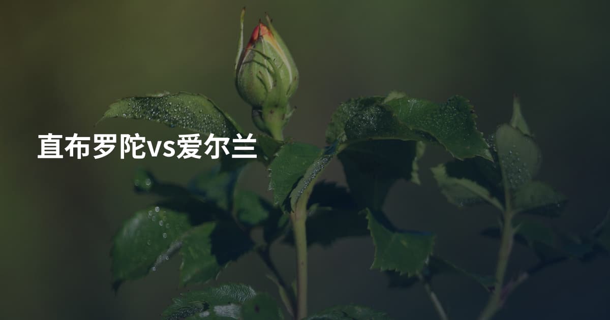 直布罗陀vs爱尔兰