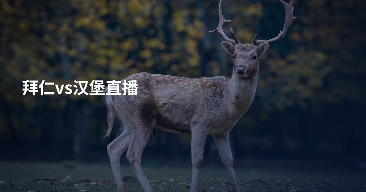 拜仁vs汉堡直播