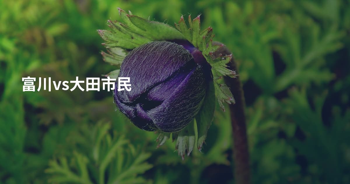 富川vs大田市民